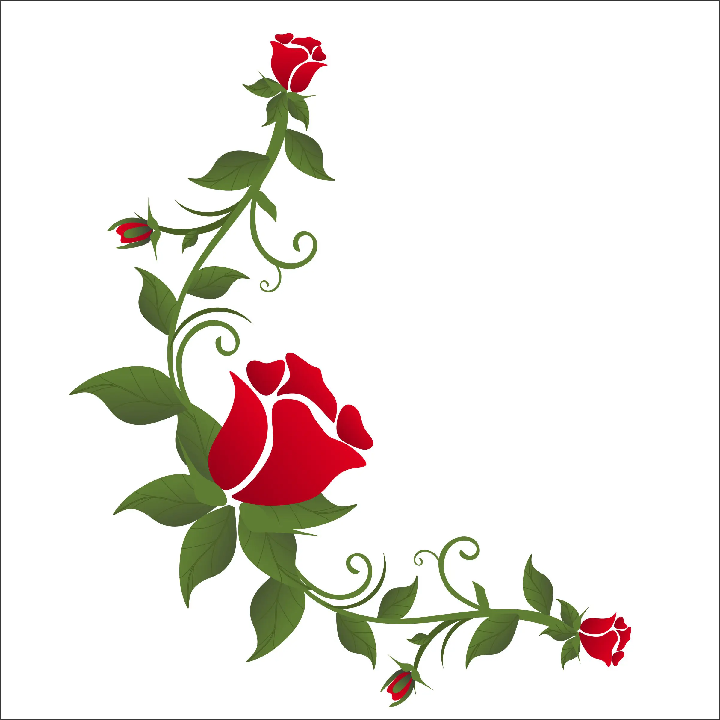 rose flower best corner design