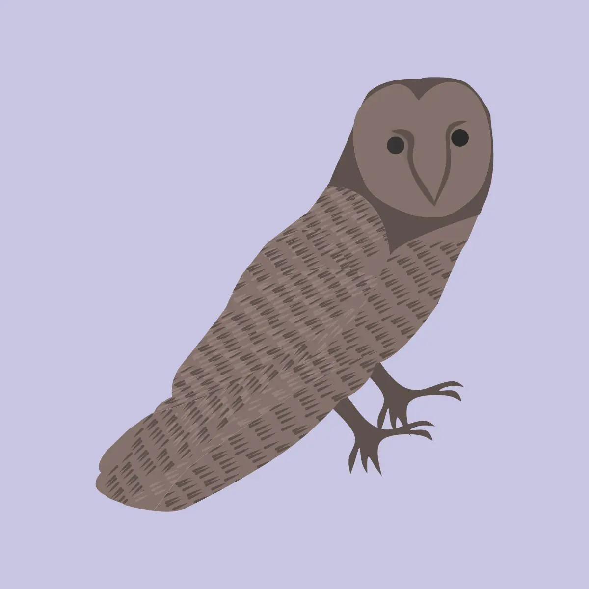 owl vector