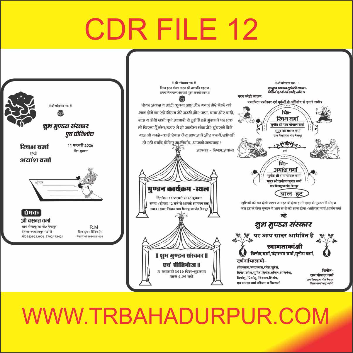 Best new mudan card 2026