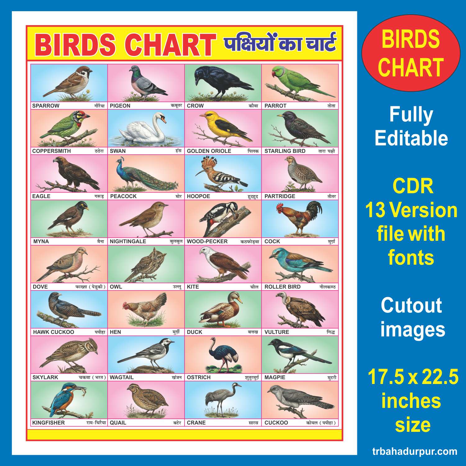 English & Hindi Birds Chart