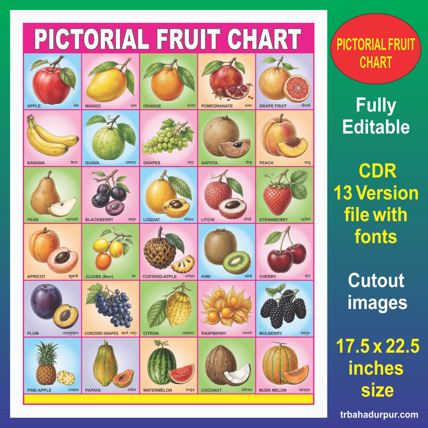 Pitorial Fruit Chart in english & hindi