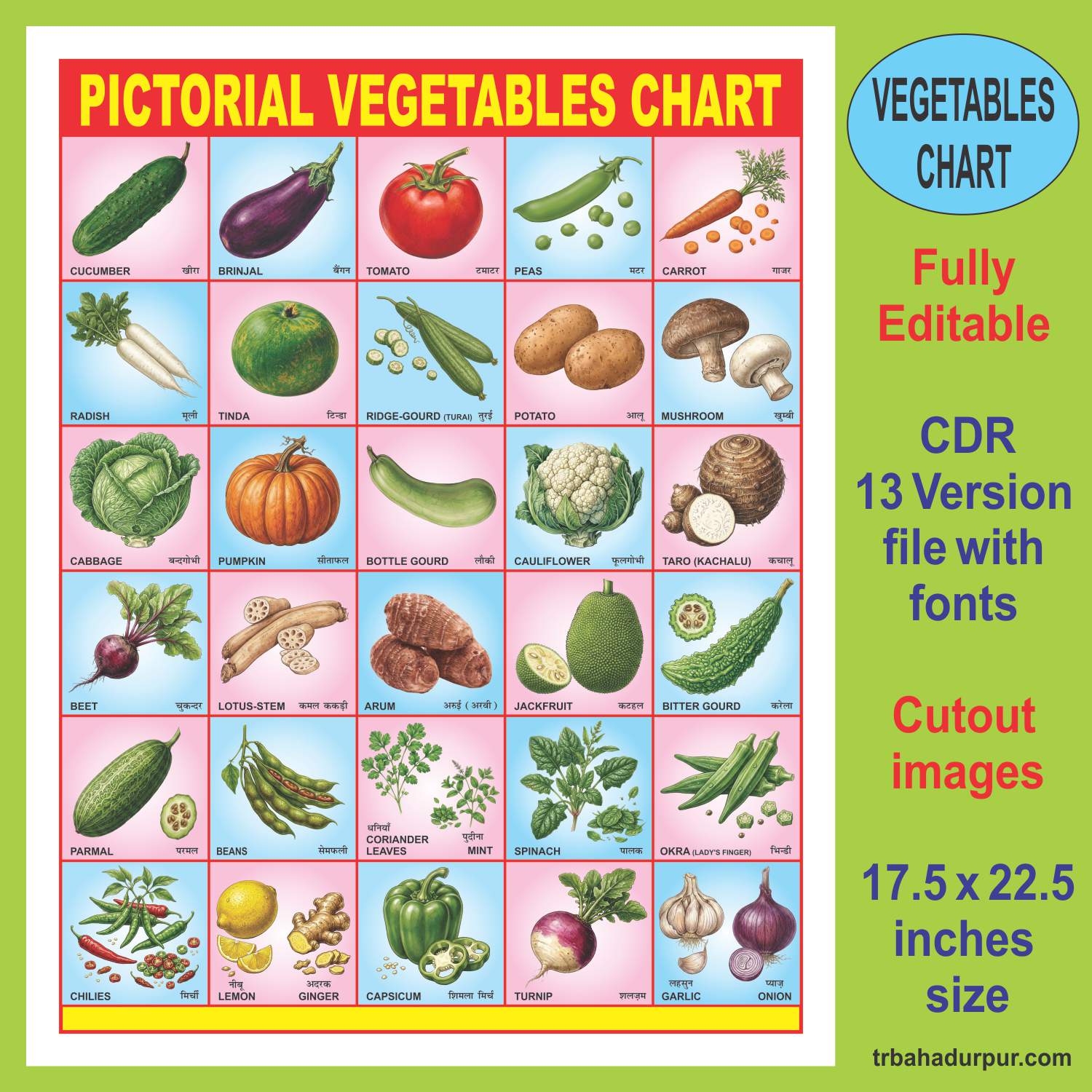 Pictorial Vegetables Chart in English & Hindi